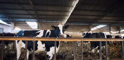 Business Consulting Blog