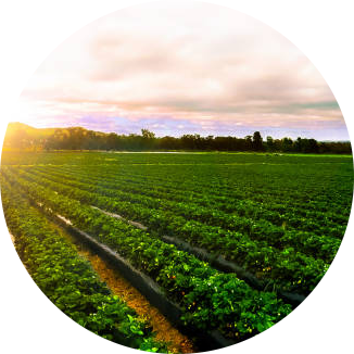 Business consulting services