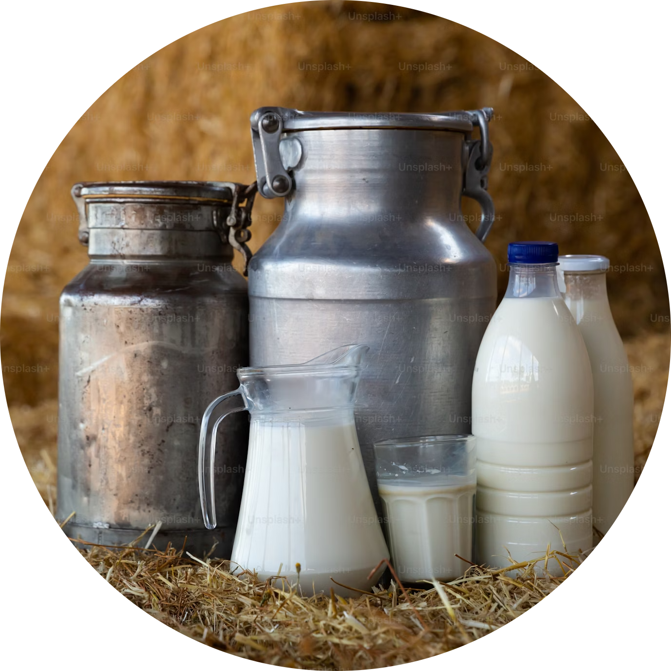 Business consulting services