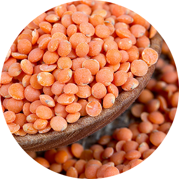 Business consulting services